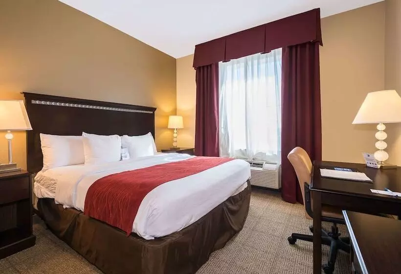 Sviitti Liikuntarajoitteisille, Comfort Inn & Suites Maingate South