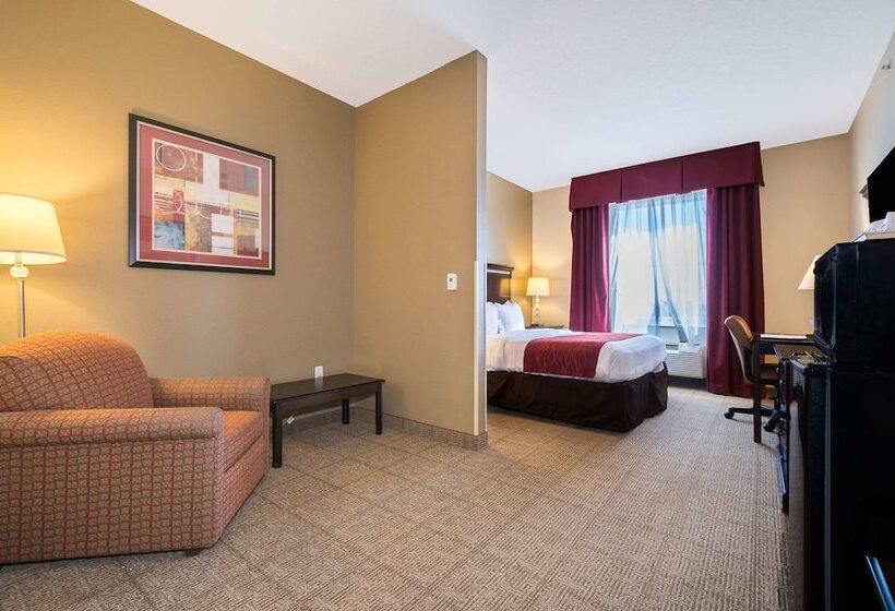 장애인을 위한 스위트, Comfort Inn & Suites Maingate South