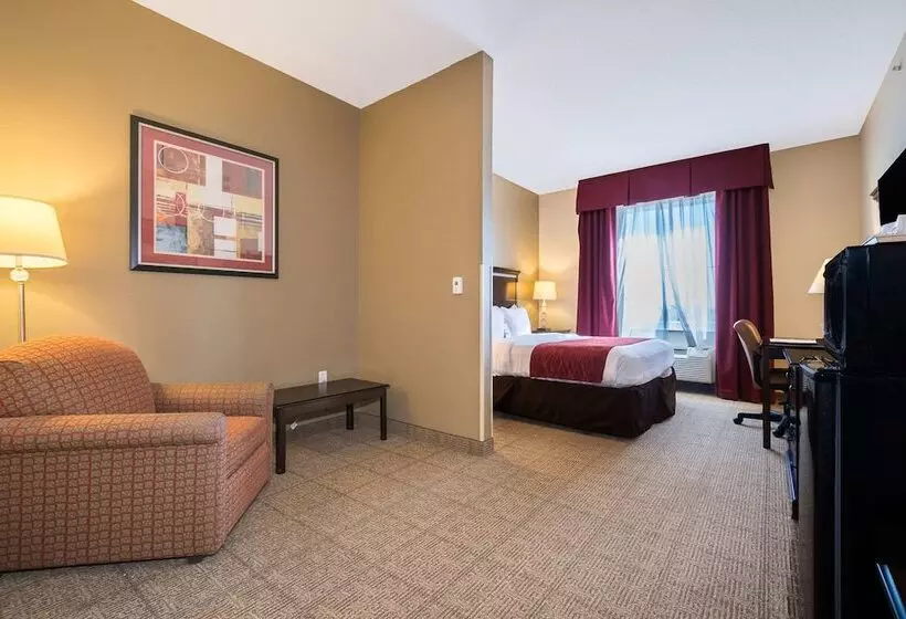 Sviitti Liikuntarajoitteisille, Comfort Inn & Suites Maingate South