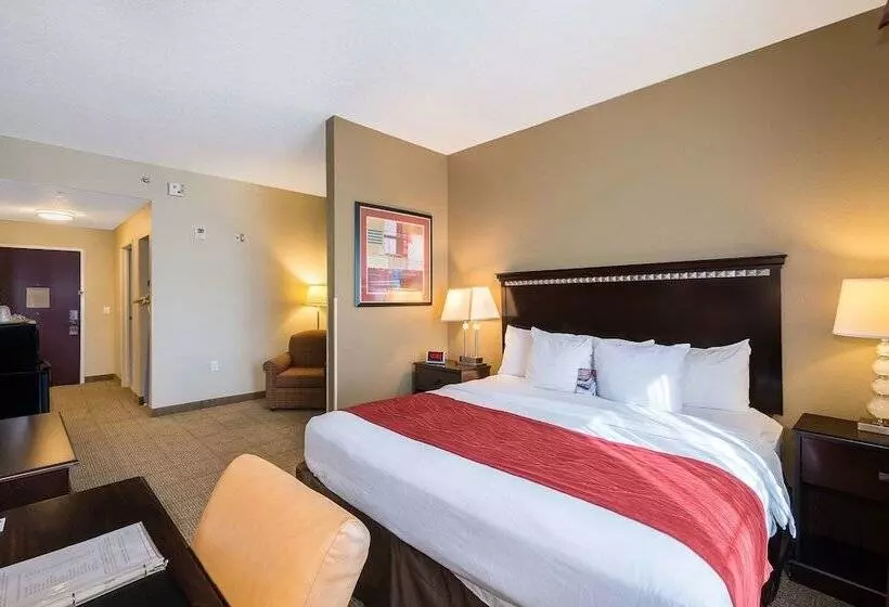 Sviitti Liikuntarajoitteisille, Comfort Inn & Suites Maingate South
