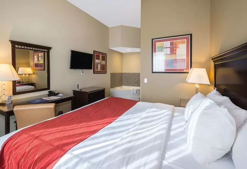 Sviitti Liikuntarajoitteisille, Comfort Inn & Suites Maingate South