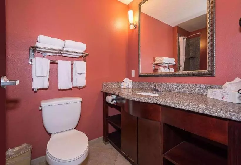 Standard-huone, Comfort Inn & Suites Maingate South