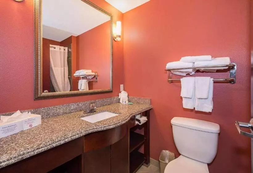Sviitti King-vuode, Comfort Inn & Suites Maingate South
