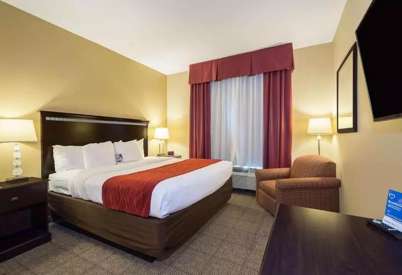 Sviitti King-vuode, Comfort Inn & Suites Maingate South