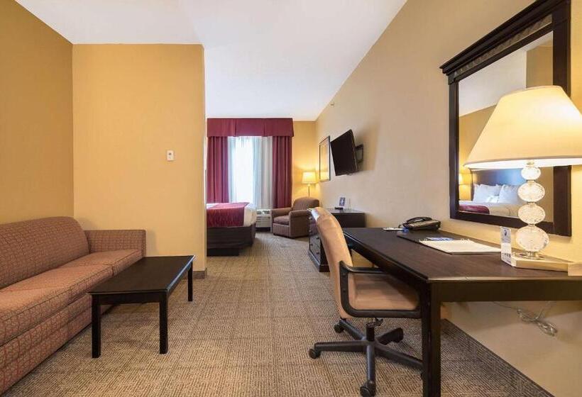 스위트 킹사이즈 침대, Comfort Inn & Suites Maingate South