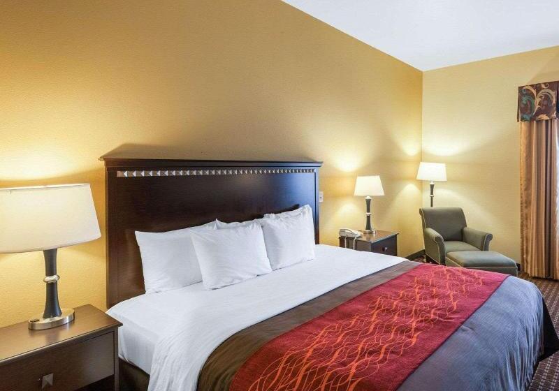 스탠다드 룸 킹사이즈 침대, Comfort Inn & Suites Regional Medical Center