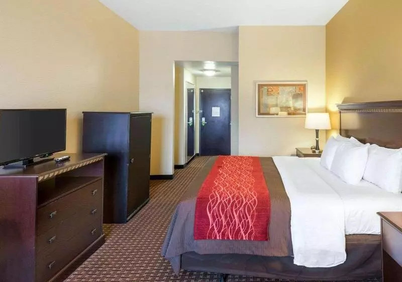 キングサイズベッドのスタンダードルーム, Comfort Inn & Suites Regional Medical Center