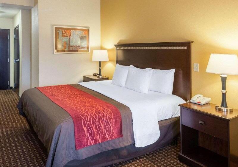 스탠다드 룸, Comfort Inn & Suites Regional Medical Center