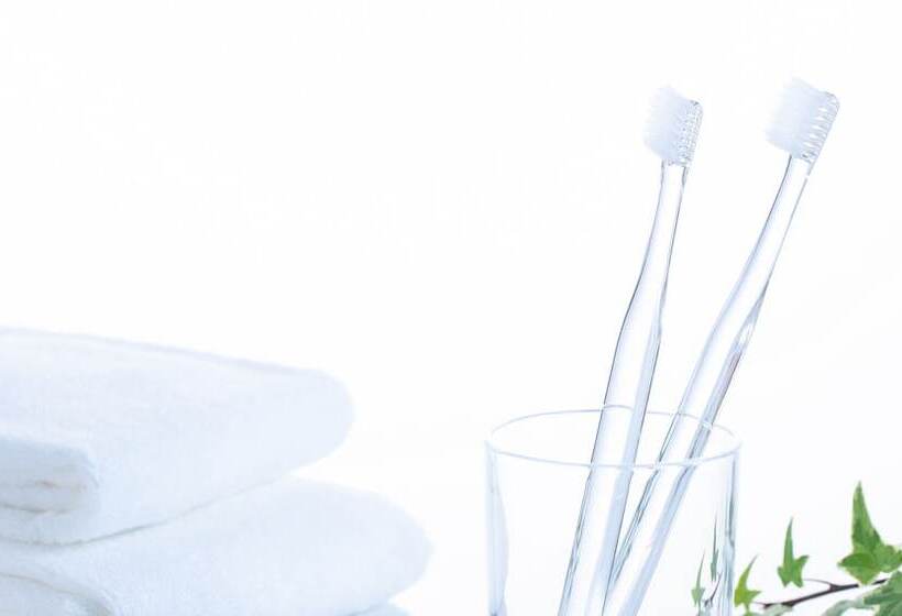 חדר סטנדרט, Comfort Hotel Kitami