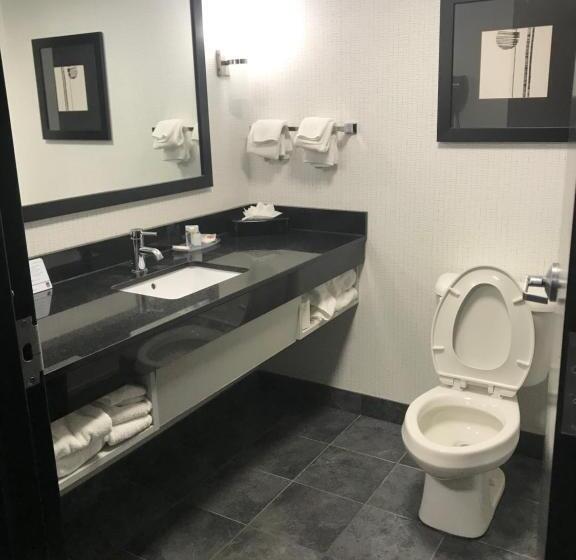 带大床的套房, Comfort Suites Williamsburg Historic Area