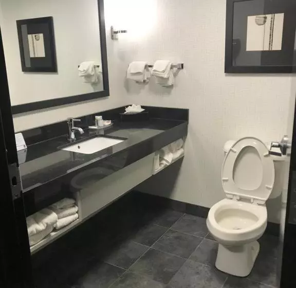キングサイズベッドのスイートルーム, Comfort Suites Williamsburg Historic Area