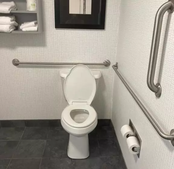 身障者適用スイートルーム, Comfort Suites Williamsburg Historic Area