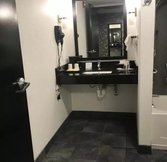 身障者適用スイートルーム, Comfort Suites Williamsburg Historic Area
