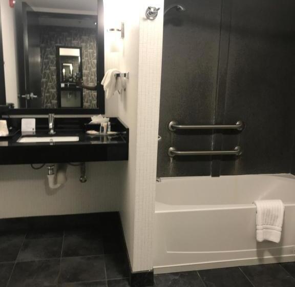 身障者適用スイートルーム, Comfort Suites Williamsburg Historic Area