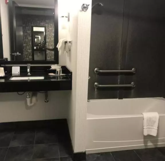 身障者適用スイートルーム, Comfort Suites Williamsburg Historic Area