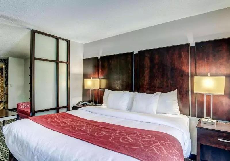 キングサイズベッドのスイートルーム, Comfort Suites Williamsburg Historic Area