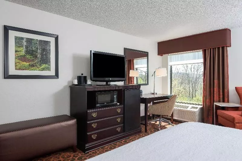 スイート, Comfort Suites Williamsburg Historic Area