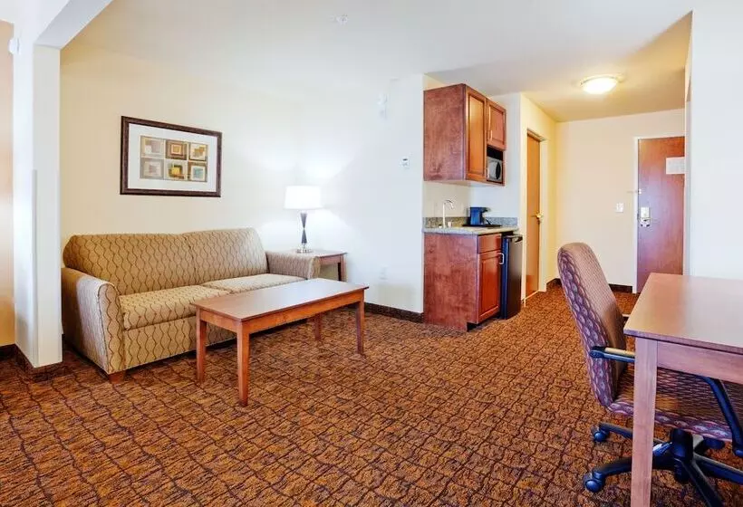 身障者適用スイートルーム, Holiday Inn Express Hotel & Suites Mount Airy, An Ihg