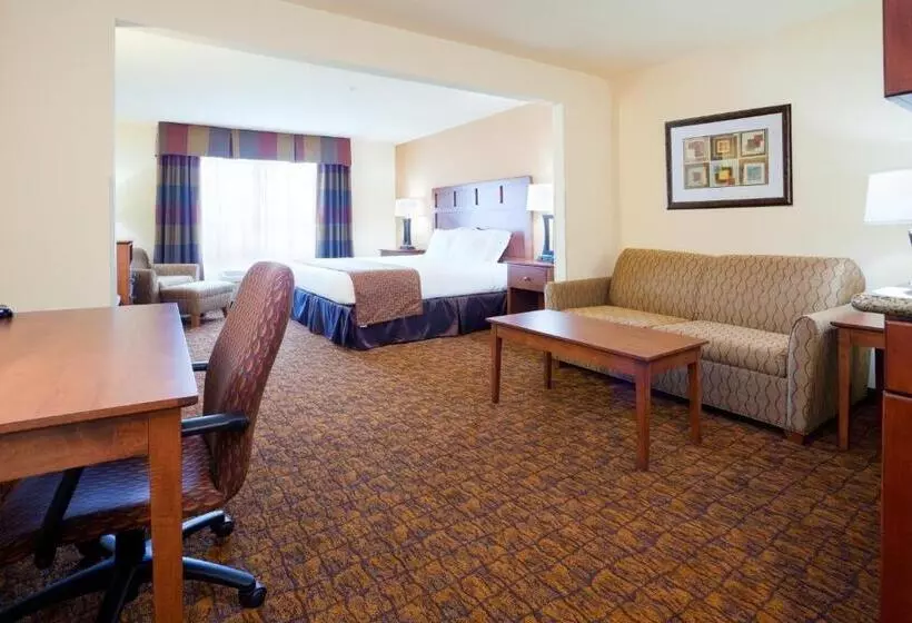 キングサイズベッドのスイートルーム, Holiday Inn Express Hotel & Suites Mount Airy, An Ihg