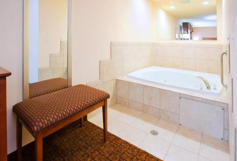 キングサイズベッドのスイートルーム, Holiday Inn Express Hotel & Suites Mount Airy, An Ihg