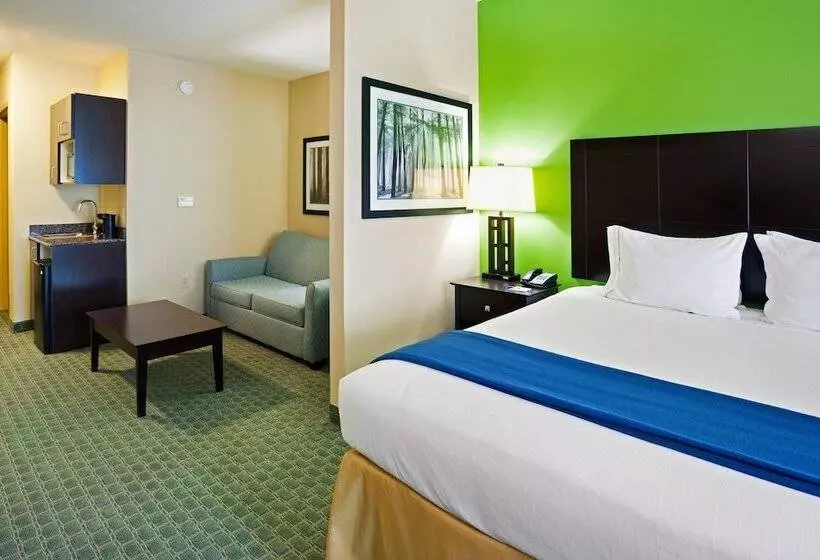 スイート, Holiday Inn Express Hotel & Suites Newport South, An Ihg