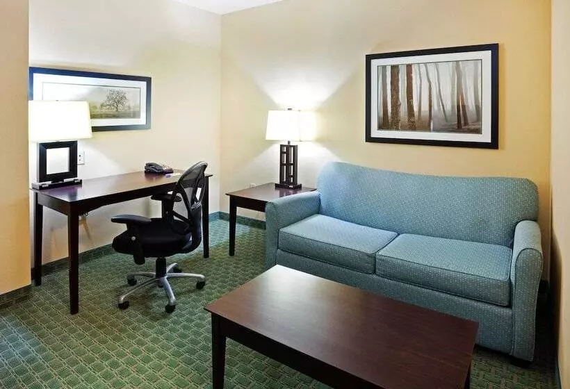スイート, Holiday Inn Express Hotel & Suites Newport South, An Ihg