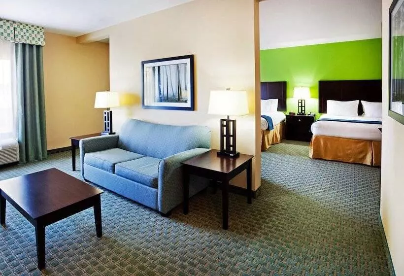 スイート, Holiday Inn Express Hotel & Suites Newport South, An Ihg