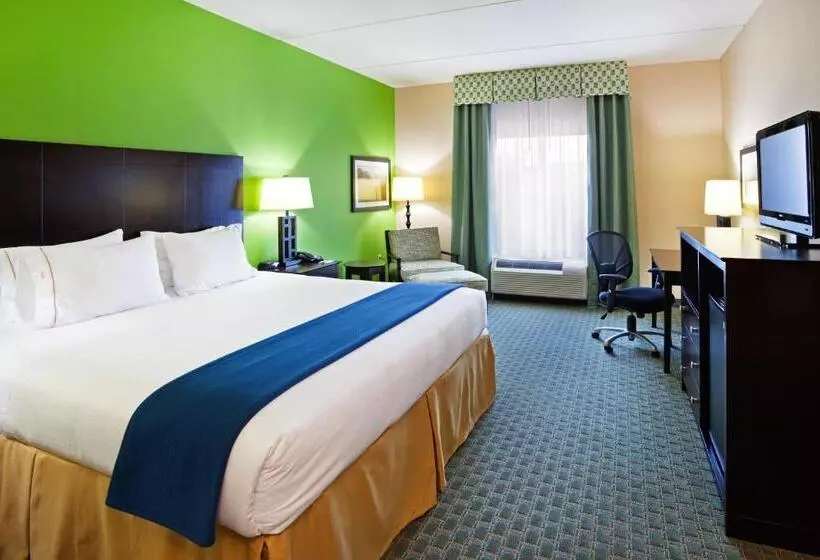 キングサイズベッドのスタンダードルーム, Holiday Inn Express Hotel & Suites Newport South, An Ihg