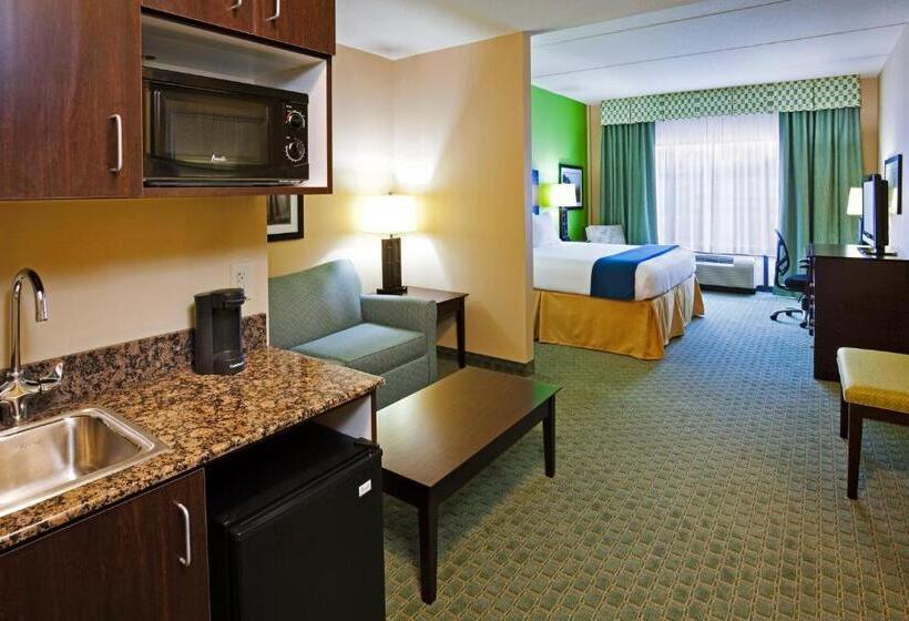 带大床的套房, Holiday Inn Express Hotel & Suites Newport South, An Ihg