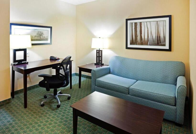 套房, Holiday Inn Express Hotel & Suites Newport South, An Ihg