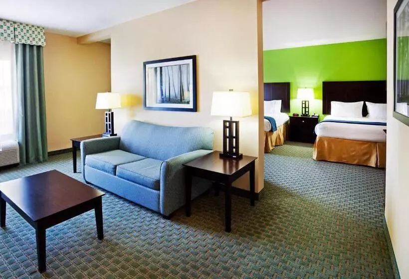 プレジデントスイートルーム, Holiday Inn Express Hotel & Suites Newport South, An Ihg
