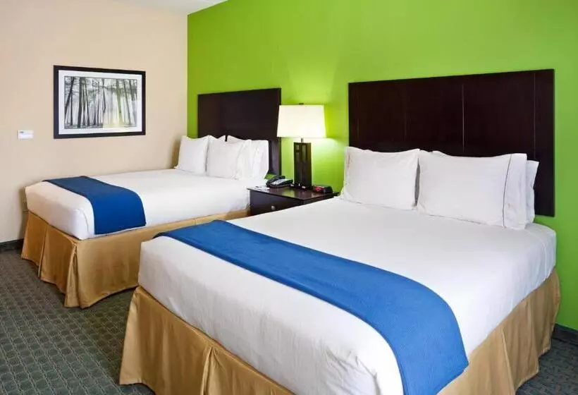 身障者適用クイーンサイズベッドルーム, Holiday Inn Express Hotel & Suites Newport South, An Ihg