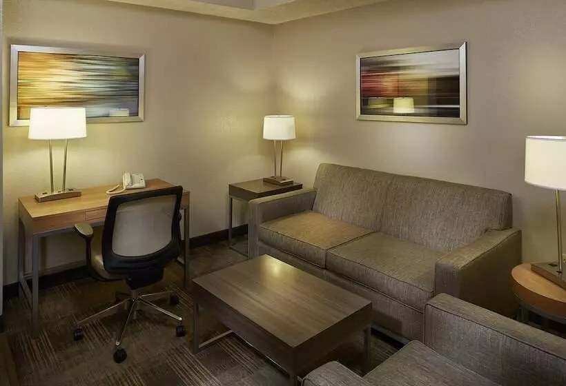 スイート, Holiday Inn Express & Suites Orangeburg, An Ihg