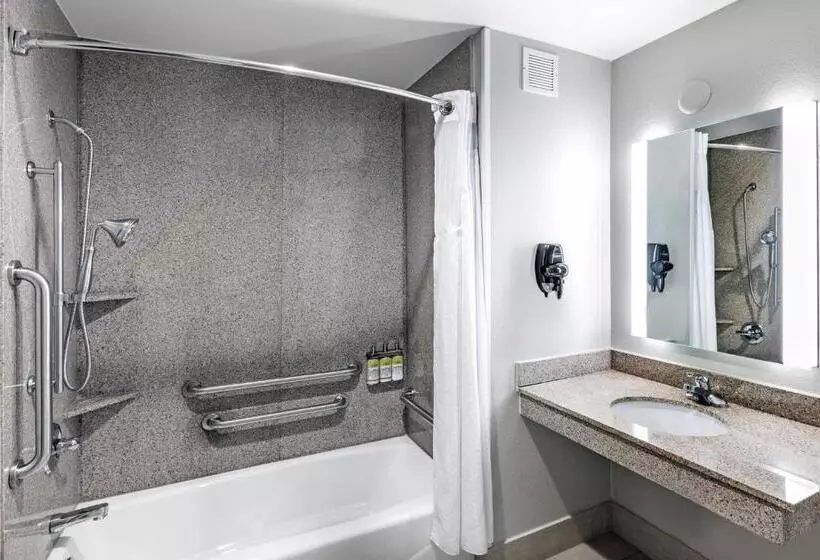 身障者適用キングサイズベッドルーム, Holiday Inn Express And Suites Pryor, An Ihg