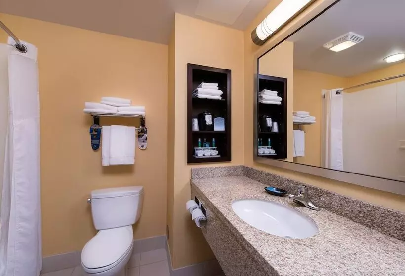 身障者適用スタンダードルーム, Holiday Inn Express And Suites Dickson City, An Ihg