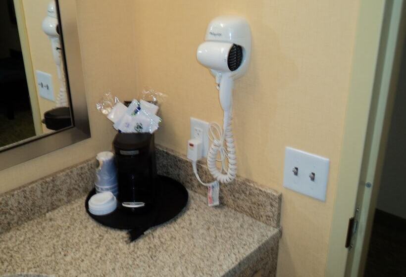 اتاق استاندارد برای معلولان, Holiday Inn Express And Suites Dickson City, An Ihg