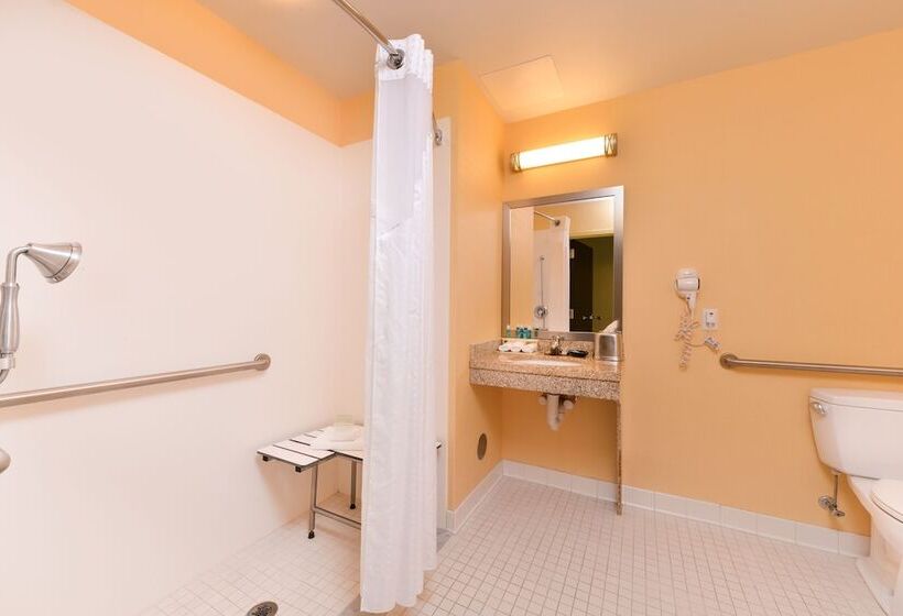 اتاق استاندارد برای معلولان, Holiday Inn Express And Suites Dickson City, An Ihg