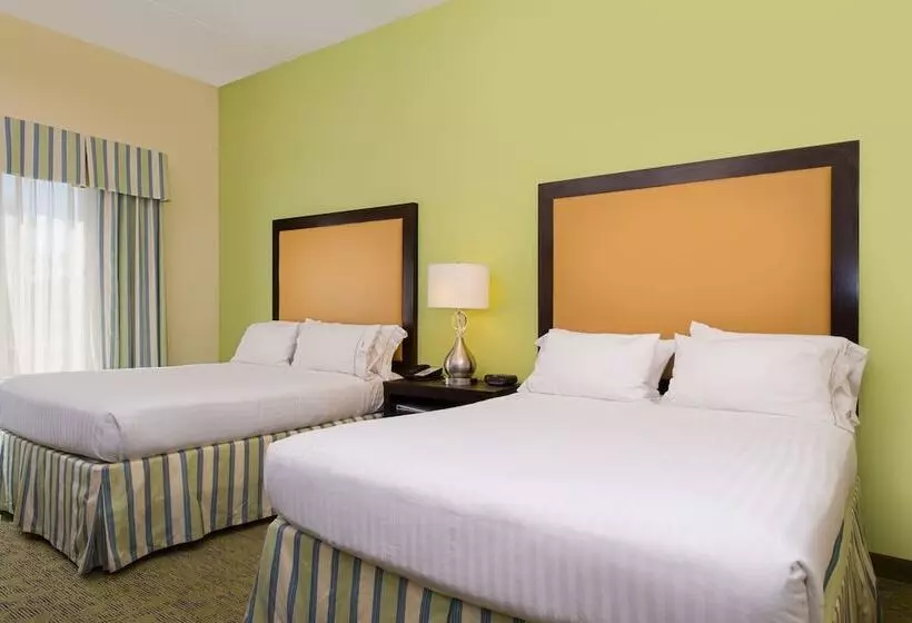 身障者適用スタンダードルーム, Holiday Inn Express And Suites Dickson City, An Ihg