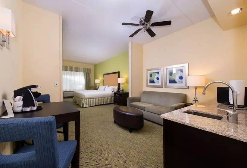身障者適用スイートルーム, Holiday Inn Express And Suites Dickson City, An Ihg