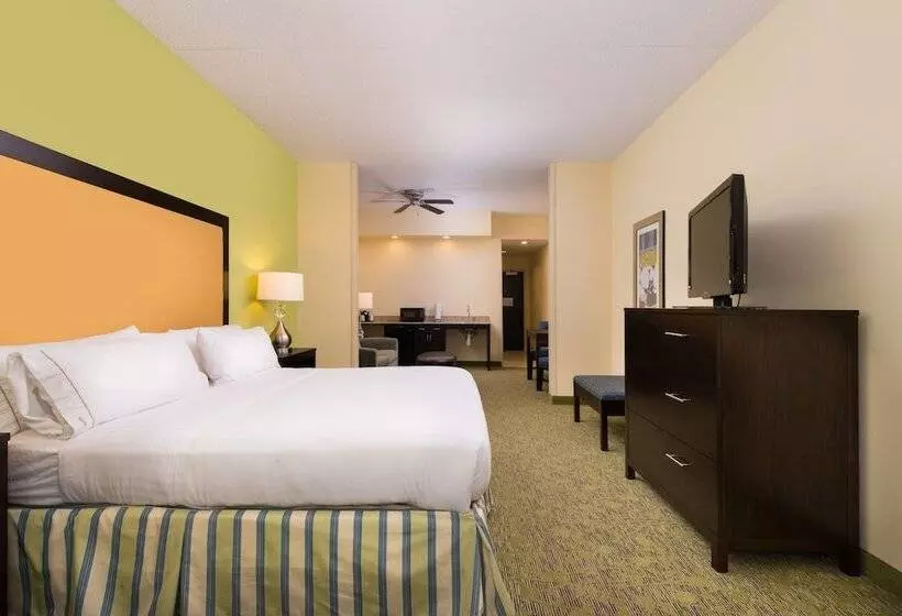 身障者適用スイートルーム, Holiday Inn Express And Suites Dickson City, An Ihg