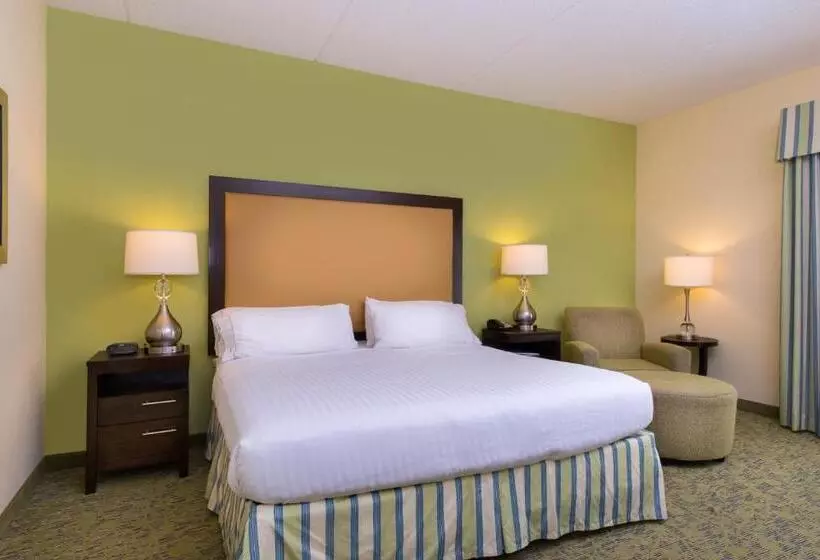身障者適用キングサイズベッドルーム, Holiday Inn Express And Suites Dickson City, An Ihg