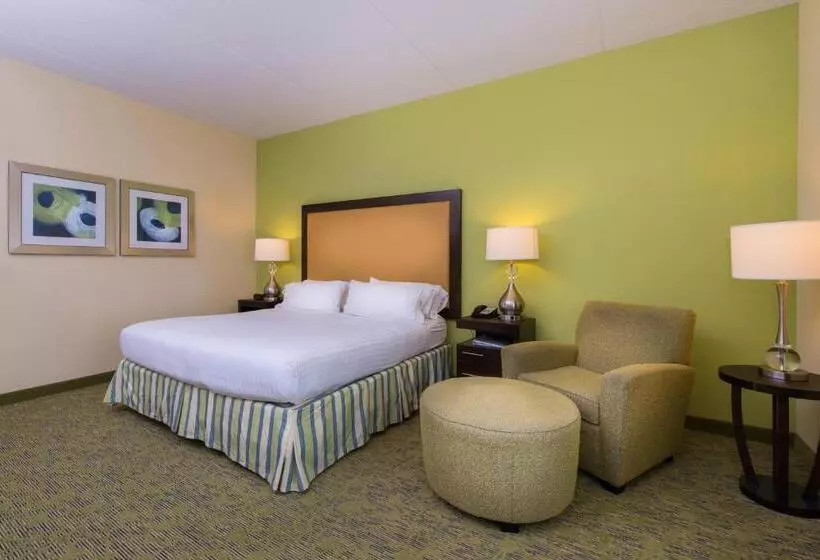 身障者適用キングサイズベッドルーム, Holiday Inn Express And Suites Dickson City, An Ihg