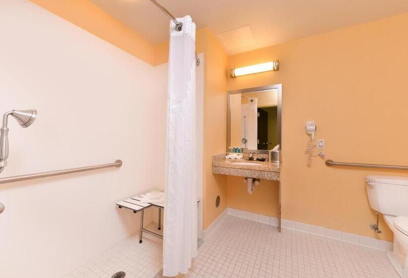 اتاق استاندارد با تخت بزرگ برای معلولان, Holiday Inn Express And Suites Dickson City, An Ihg