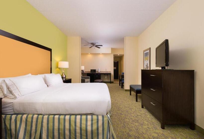 سوییت لوکس, Holiday Inn Express And Suites Dickson City, An Ihg