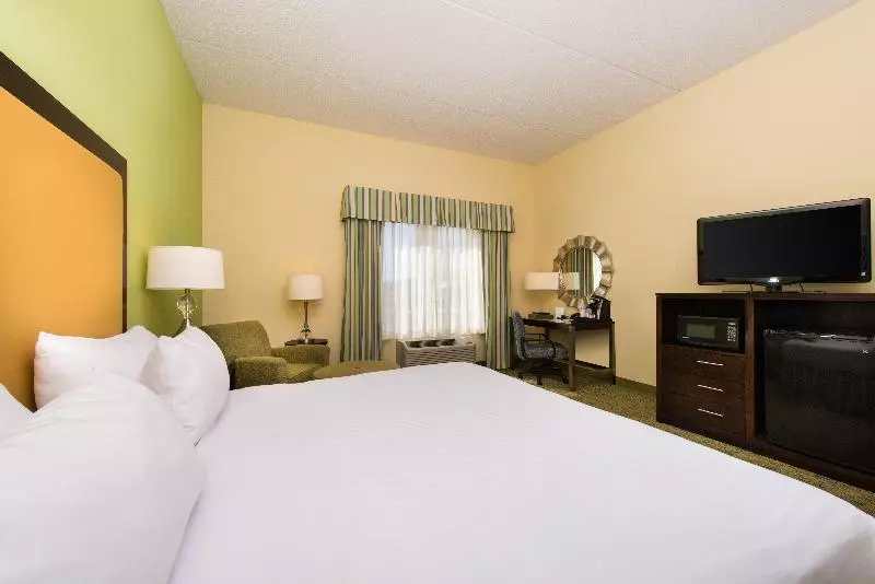 身障者適用キングサイズベッドルーム, Holiday Inn Express And Suites Dickson City, An Ihg