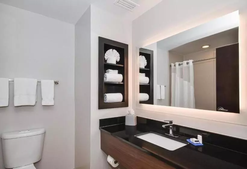 キングサイズベッドのスイートルーム, Holiday Inn Express Charlotte Southeast   Matthews, An Ihg