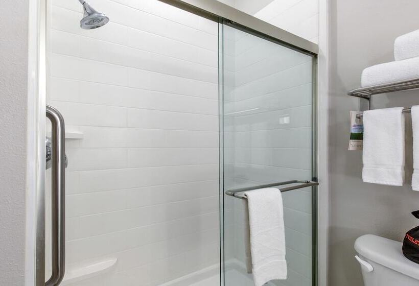 套房, Holiday Inn Express Houston Alvin, An Ihg