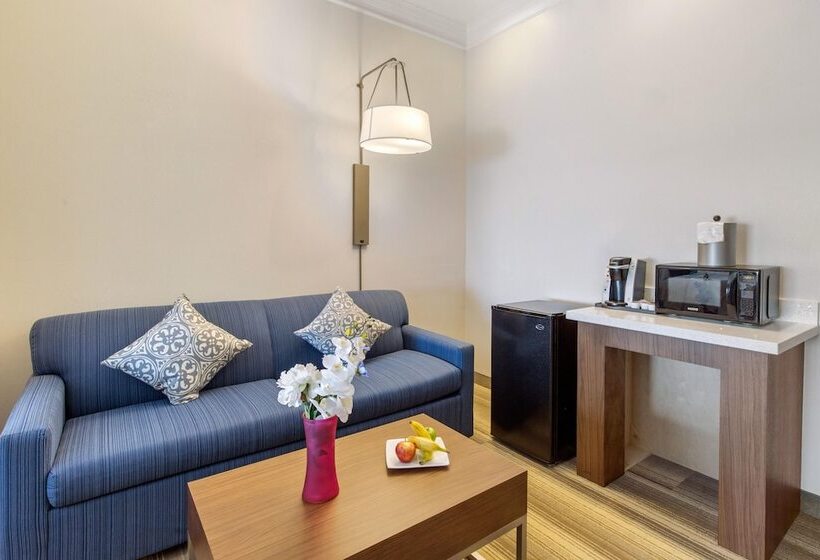 套房, Holiday Inn Express Houston Alvin, An Ihg