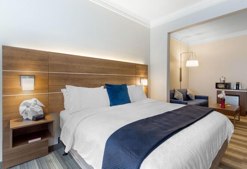 套房, Holiday Inn Express Houston Alvin, An Ihg