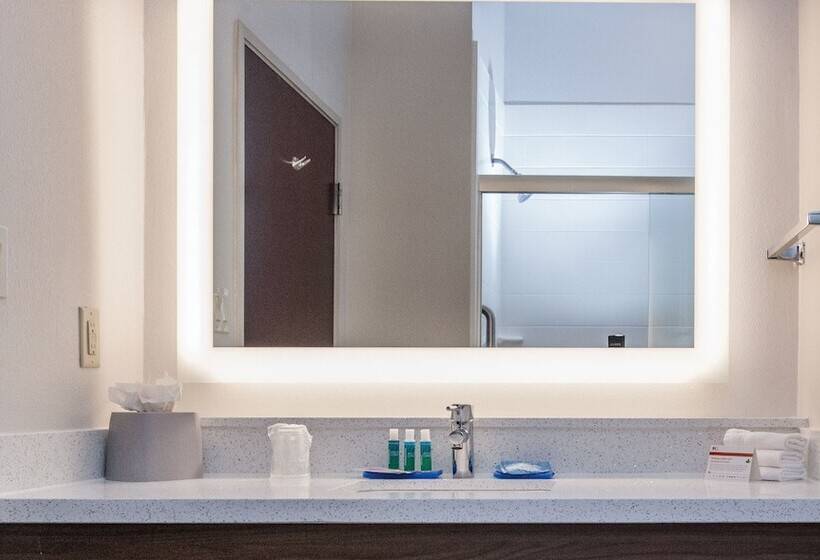 套房, Holiday Inn Express Houston Alvin, An Ihg